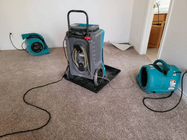 Best 24-hour water damage restoration  in Flippin, AR