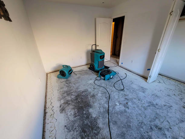 Best Local water damage restoration  in Flippin, AR