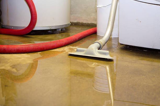 Best Water damage restoration near me  in Flippin, AR