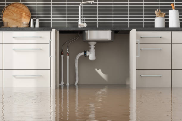 Best Commercial water damage restoration  in Flippin, AR