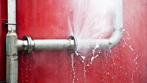 Best Water damage cleanup near me  in Flippin, AR